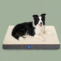 CloudPaw Orthopedic Bed | Medium
