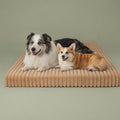CloudPaw Orthopedic Bed | Large